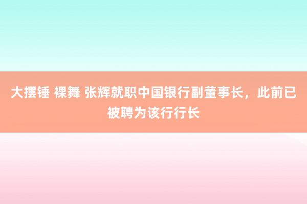 大摆锤 裸舞 张辉就职中国银行副董事长，此前已被聘为该行行长