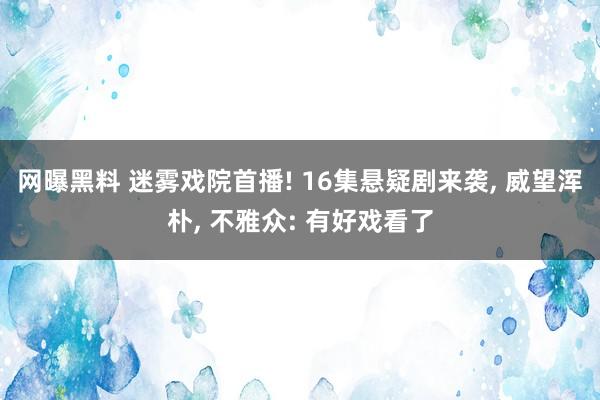 网曝黑料 迷雾戏院首播! 16集悬疑剧来袭， 威望浑朴， 不雅众: 有好戏看了